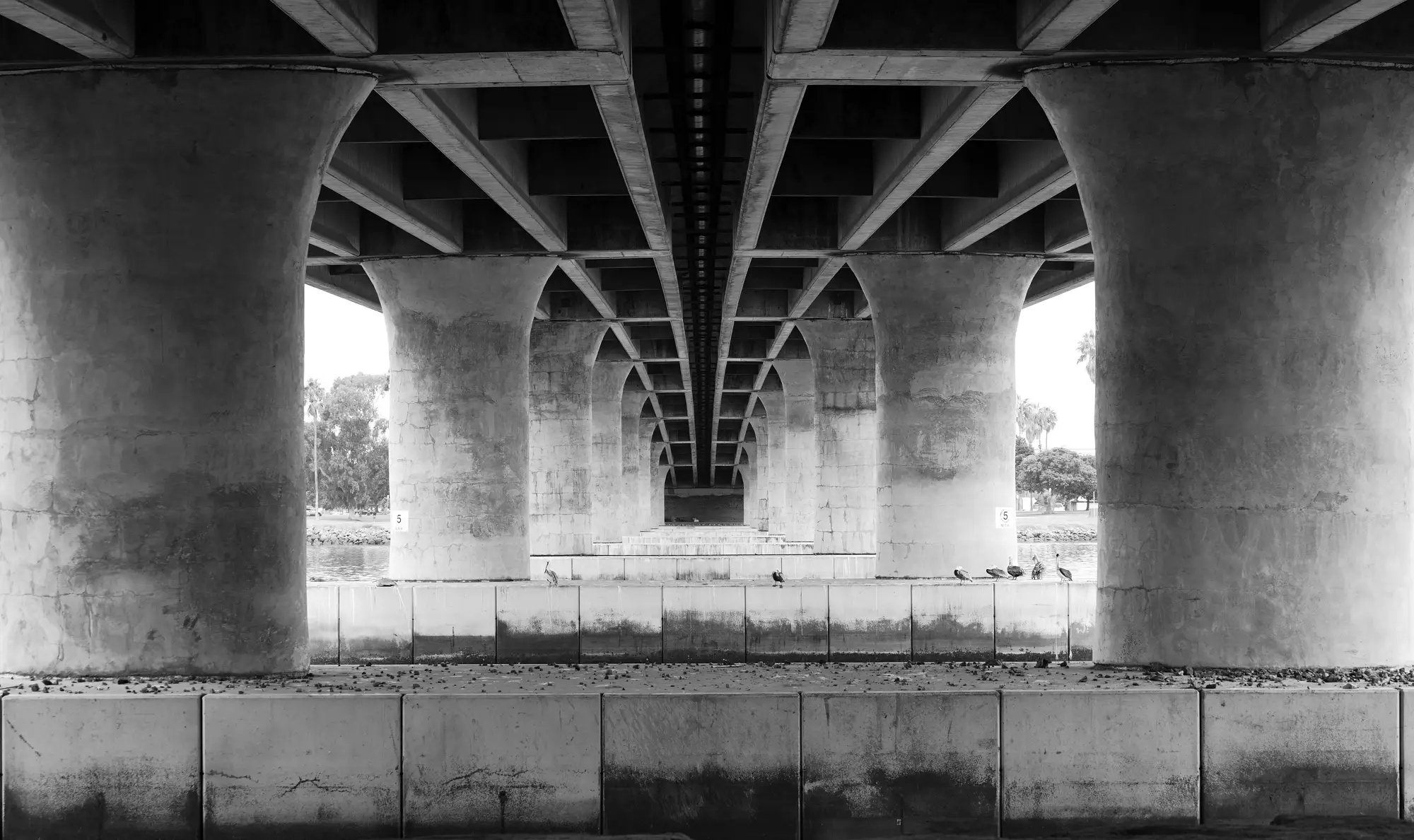 Looking along the underside of a concrete bridge deck between rows of piers